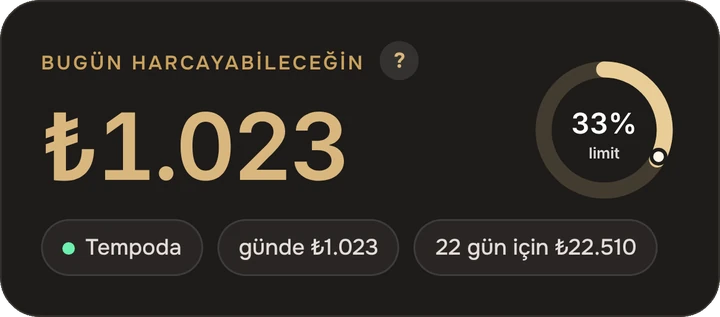 Bugün harcayabileceğin