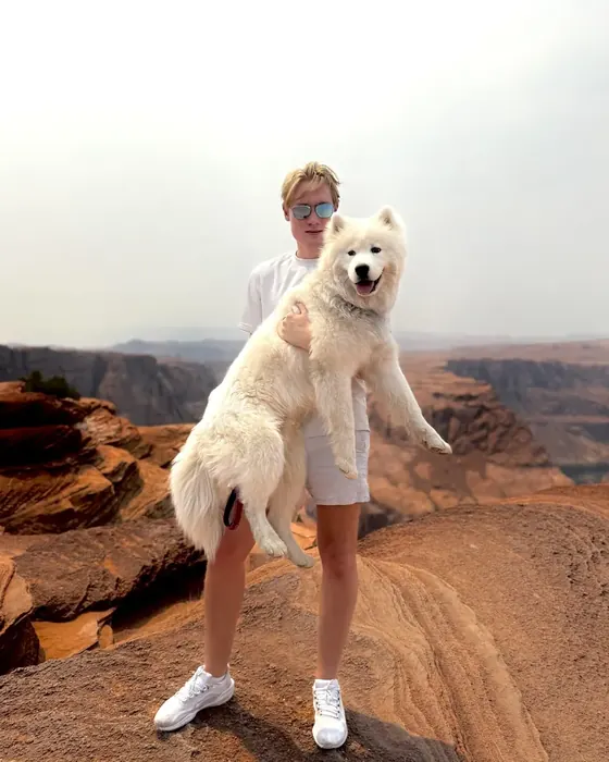 Aleksandr Romanov: On the road with my Samoyed
